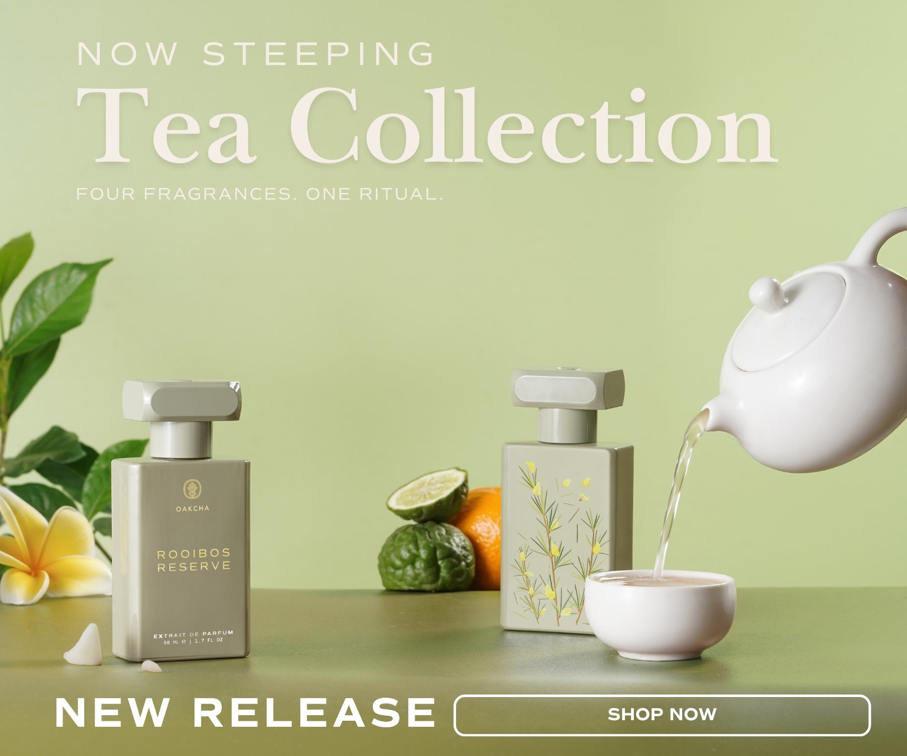 Oakcha | Fragrance House